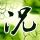 一比一原版中华科技大学学位证【degxx.com】